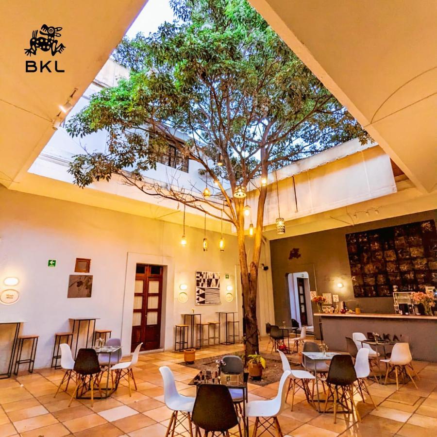 Bkl Hotel Oaxaca Exterior foto